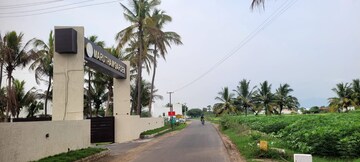  Plot – Exterior View View at Tharamangalam - for Sale