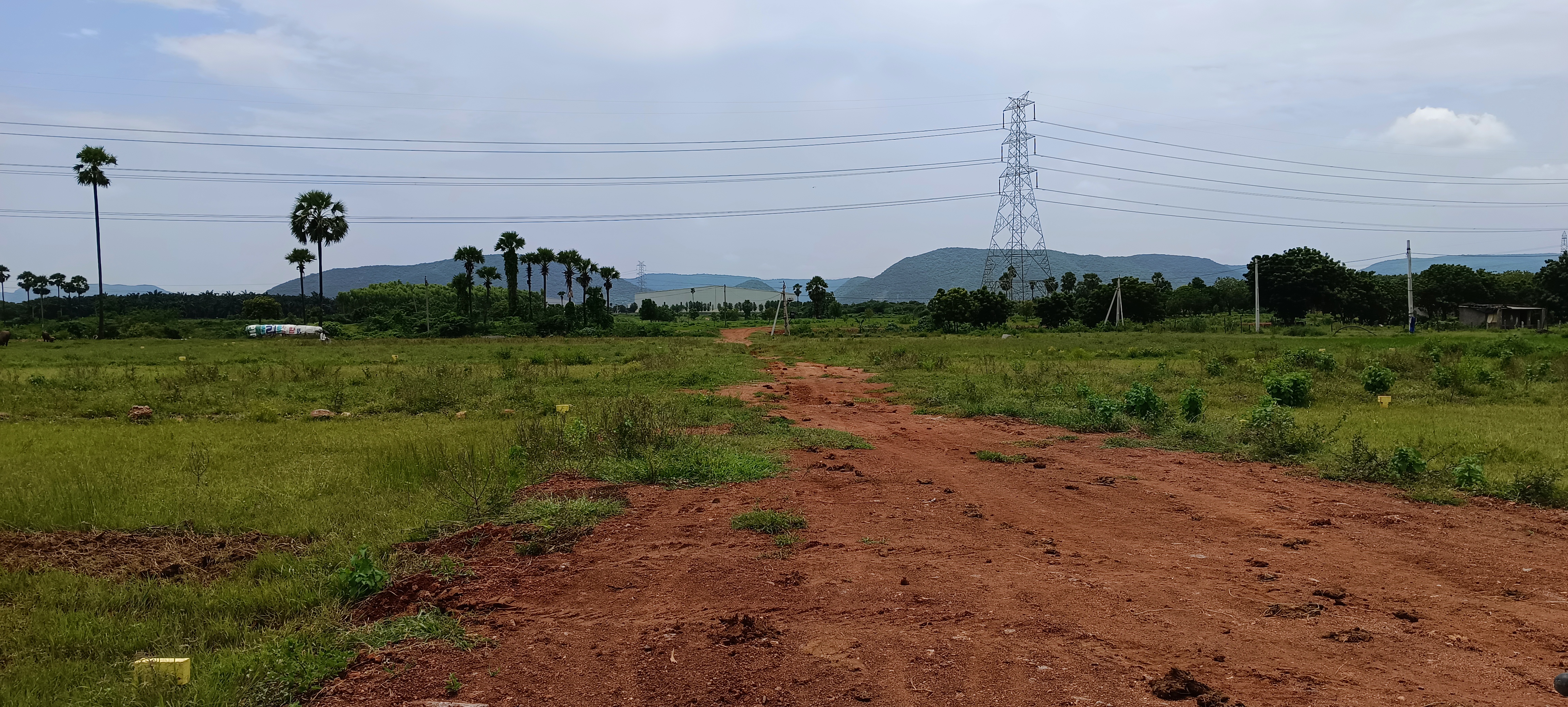 Plot For Resale in Nunna Vijayawada  7427269