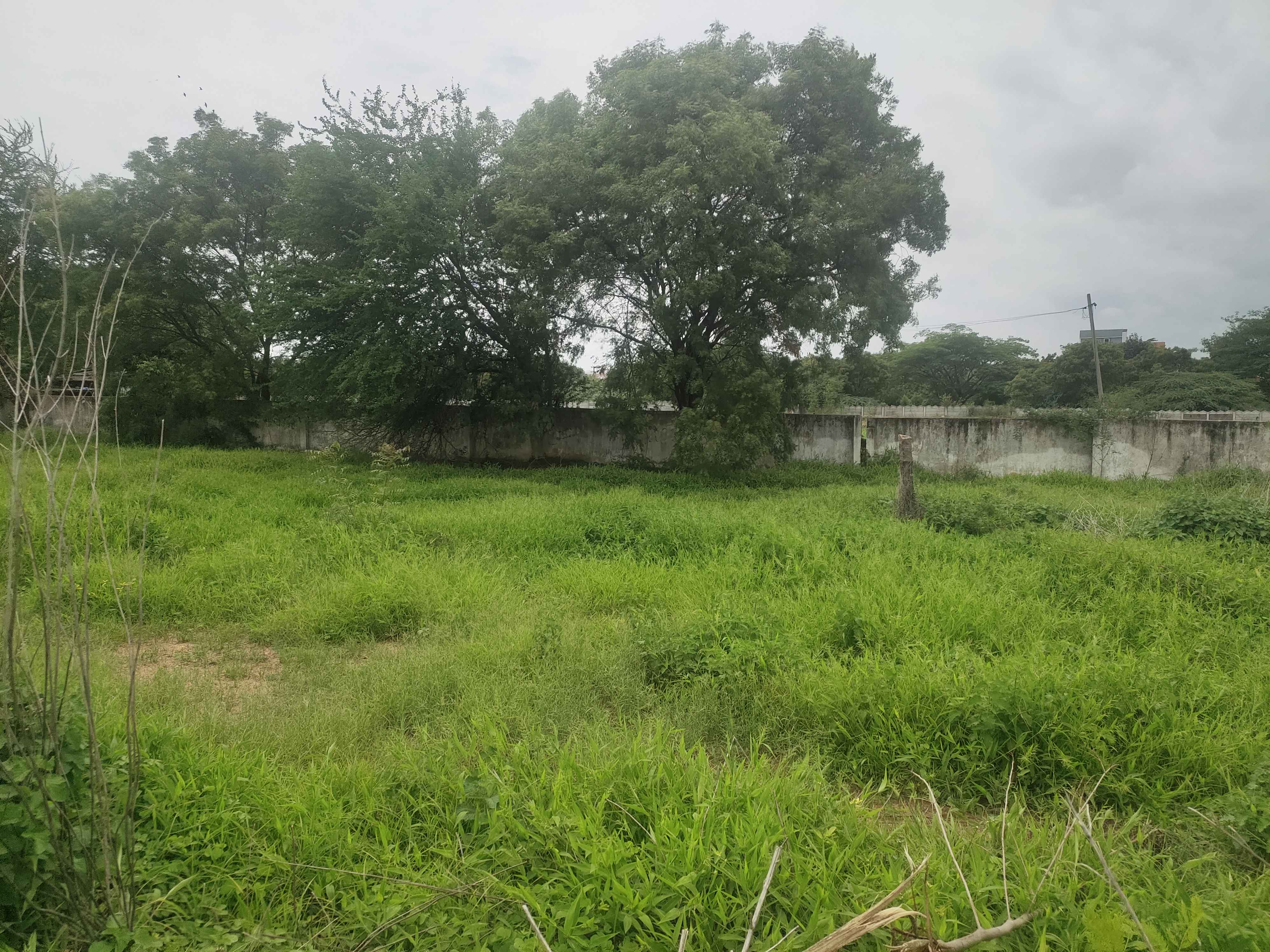 Plot For Resale in Kompally Hyderabad  7427396