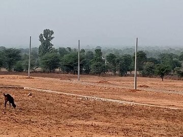  Plot – Exterior View View at Chhata - for Sale
