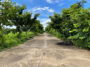 Plot Area in  Plot at Sejbahar – for Sale
