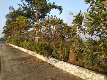 Plot Area in  Plot at Sejbahar – for Sale