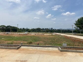 Plot For Resale in Denkanikottai Hosur  7015469