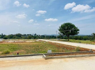 Plot For Resale in Denkanikottai Hosur  7015469