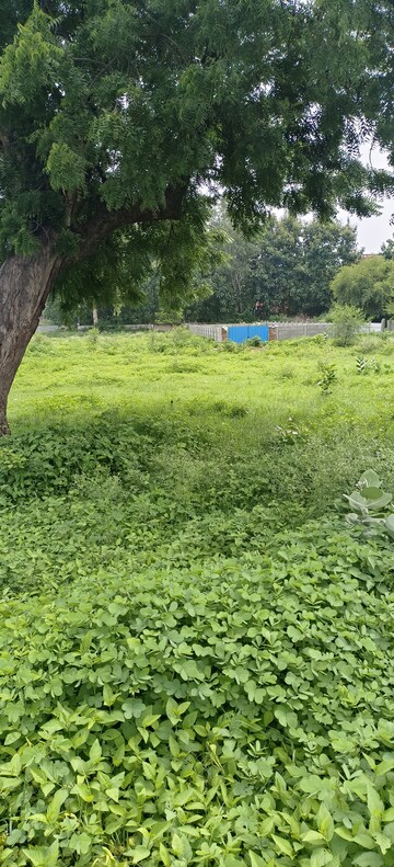  Plot – Garden View at Ansal Sushant Golf city, Sushant Golf City - for Sale