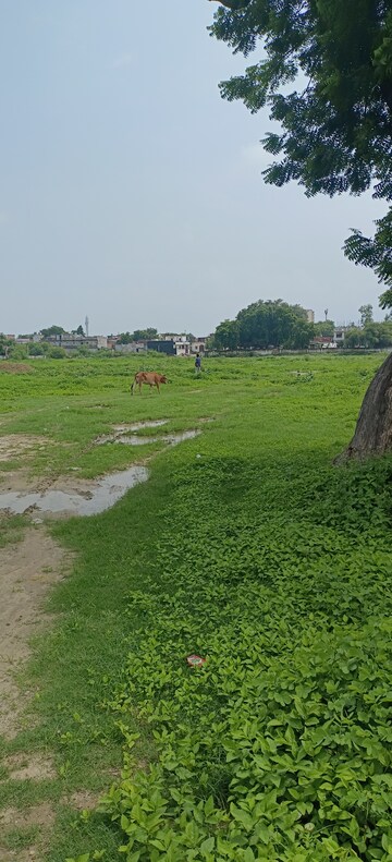 Plot Area in  Plot at Ansal Sushant Golf city, Sushant Golf City – for Sale