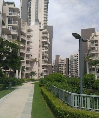 2 BHK Apartment For Rent in Ireo Victory Valley Sector 67 Gurgaon  7428294