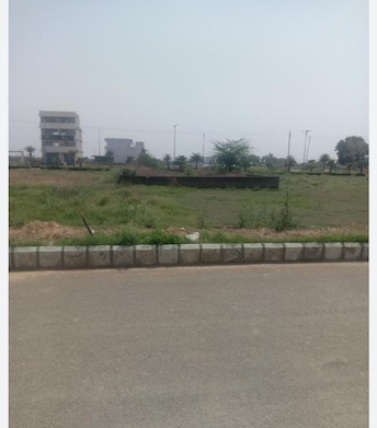 Plot For Resale in Aerocity Chandigarh  7429448