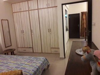 2 BHK Apartment For Rent in Wild Grass Koramangala Bangalore  7429588