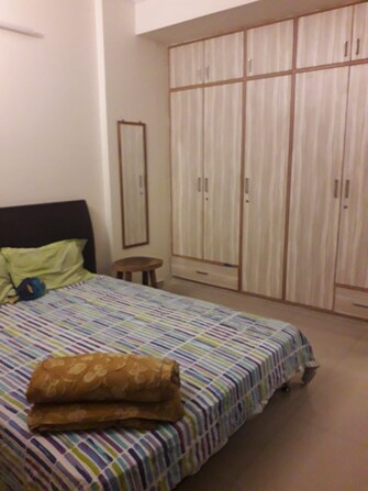 2 BHK Apartment For Rent in Wild Grass Koramangala Bangalore  7429588