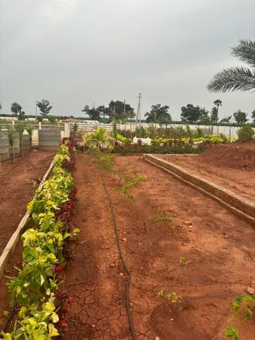  Plot For Sale in Sri Bhumi Eeshaanya, Kankipadu