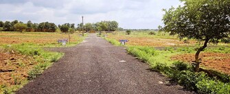 Plot For Resale in Kattupakkam Chennai  7429823