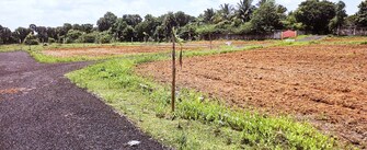 Plot For Resale in Kattupakkam Chennai  7429823