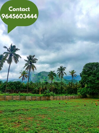 Plot For Resale in Olavakkode Palakkad  7429875