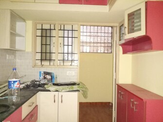 2 BHK Apartment For Rent in CBR Prakruthi Kalyan Nagar Bangalore  7427850