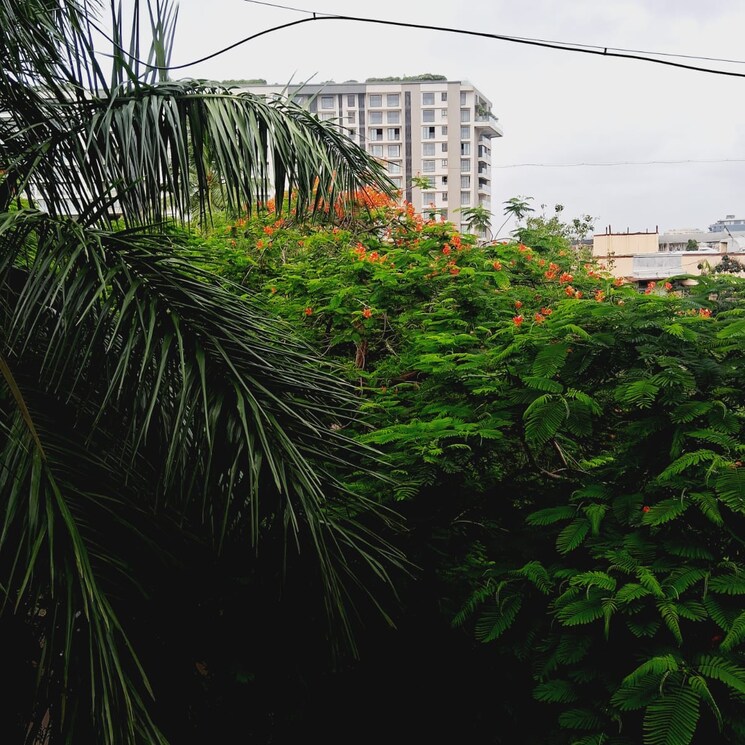 Balcony, rajgrihi-apartment 2 Bedroom 850 Sq.Ft. Apartment In Nutan Laxmi Society Mumbai 7430279