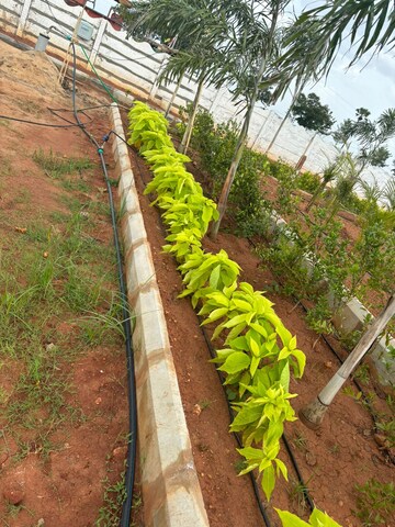  Plot – Exterior View View at Sri Bhumi Eeshaanya, Kankipadu - for Sale