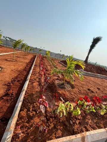  Plot For Sale in Sri Bhumi Eeshaanya, Kankipadu