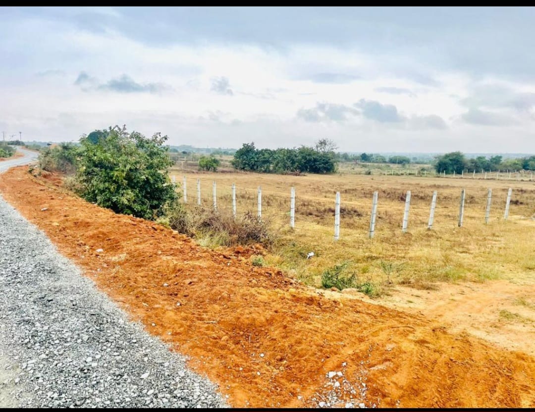 Land On Rent Rental Commercial Land 2 Acre in Khairatabad Hyderabad - 7430754