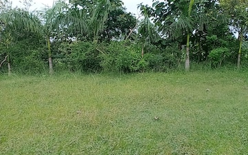 Land For Sale in Lucknow Road
