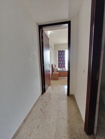 4 BHK Apartment For Rent in Beverly Golf Avenue Mohali Sector 65 Chandigarh  7430945