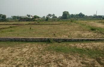 Plot For Sale in Beniganj