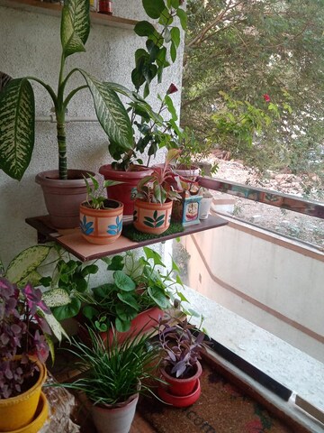 Balcony in 1 BHK Apartment at Vistas CHS, Kavesar – for Sale