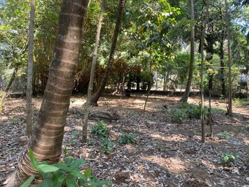  Plot – Garden View at Alibag - for Sale
