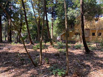  Plot – Garden View at Alibag - for Sale