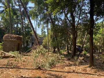 Plot Area in  Plot at Alibag – for Sale