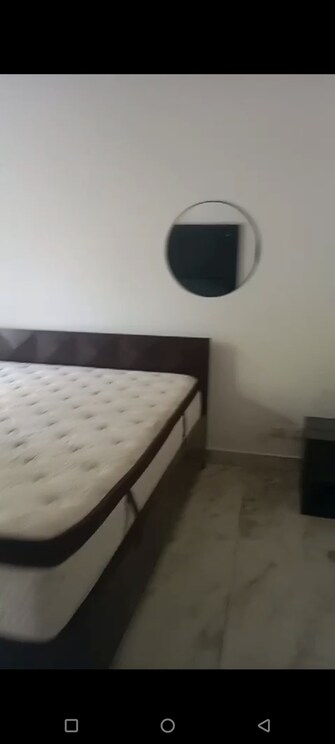 2 BHK Independent House For Rent in RWA Apartments Sector 15 Sector 15 Noida  7431944