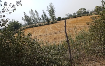 Land For Sale in Mohanlalganj