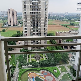 3 BHK Apartment For Resale in DLF The Ultima Sector 81 Gurgaon  7432159