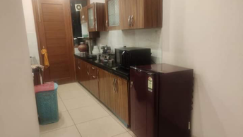 2 BHK Apartment For Rent in Sector 40 Chandigarh  7432264