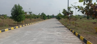 Plot For Resale in Janakpuri Delhi  7433625