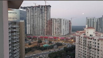 4 BHK Apartment For Rent in DLF The Princeton Estate Dlf Phase V Gurgaon  7433692