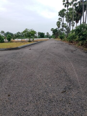 Plot Area in  Plot at Thumukunta – for Sale