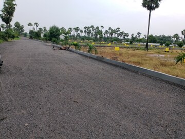 Plot Area in  Plot at Thumukunta – for Sale