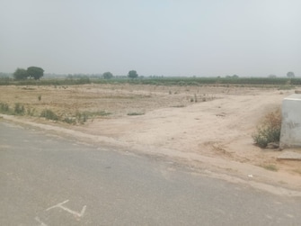 Plot For Resale in Jharoda Kalan Delhi  7434165