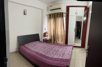 3 BHK Apartment For Sale in Gulshan Vivante, Sector 137