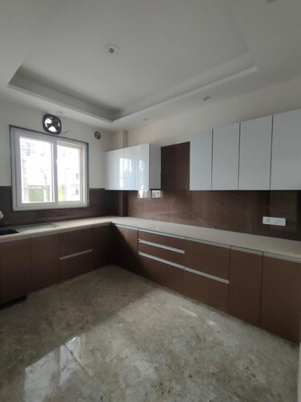 3 BHK Builder Floor For Rent in Vipul World Plots Sector 48 Gurgaon  7435995