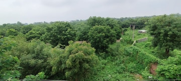 Commercial Land 2250 Sq.Yd. For Resale in Ashram Road Ahmedabad  7436450