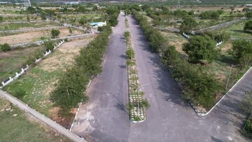  Plot – Exterior View View at Rudraram - for Sale