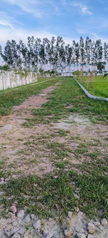 Plot Area in  Plot at Sheorajpur – for Sale