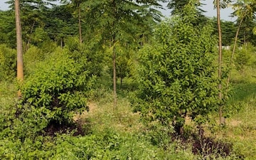 Plot For Sale in Sun City