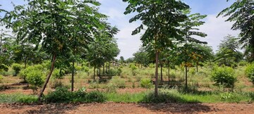  Plot For Sale in Chandrayangutta