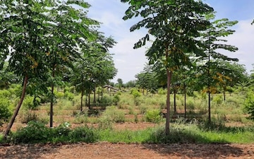 Plot For Sale in Chandrayangutta