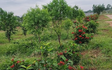 Plot For Sale in Attapur