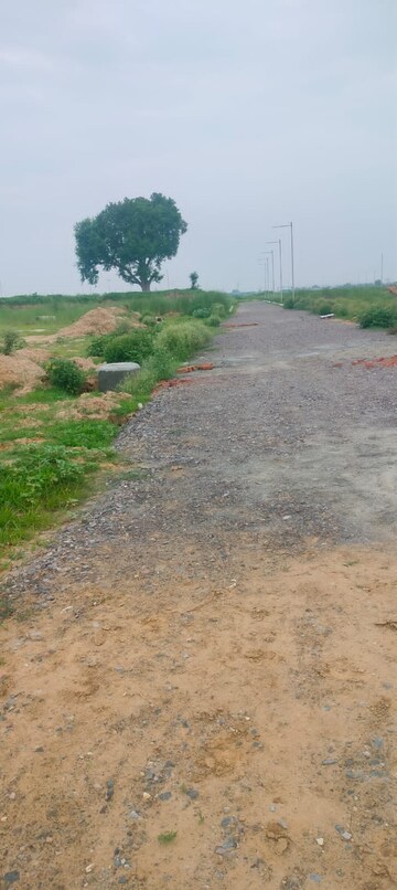 Plot Area in  Plot at Sadar Bazaar – for Sale