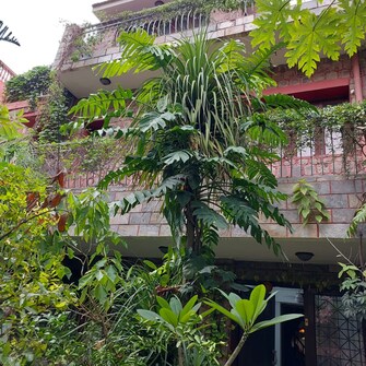 5 BHK Villa For Resale in Sultanpur Delhi  7437976